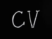 CV Ne Demek?