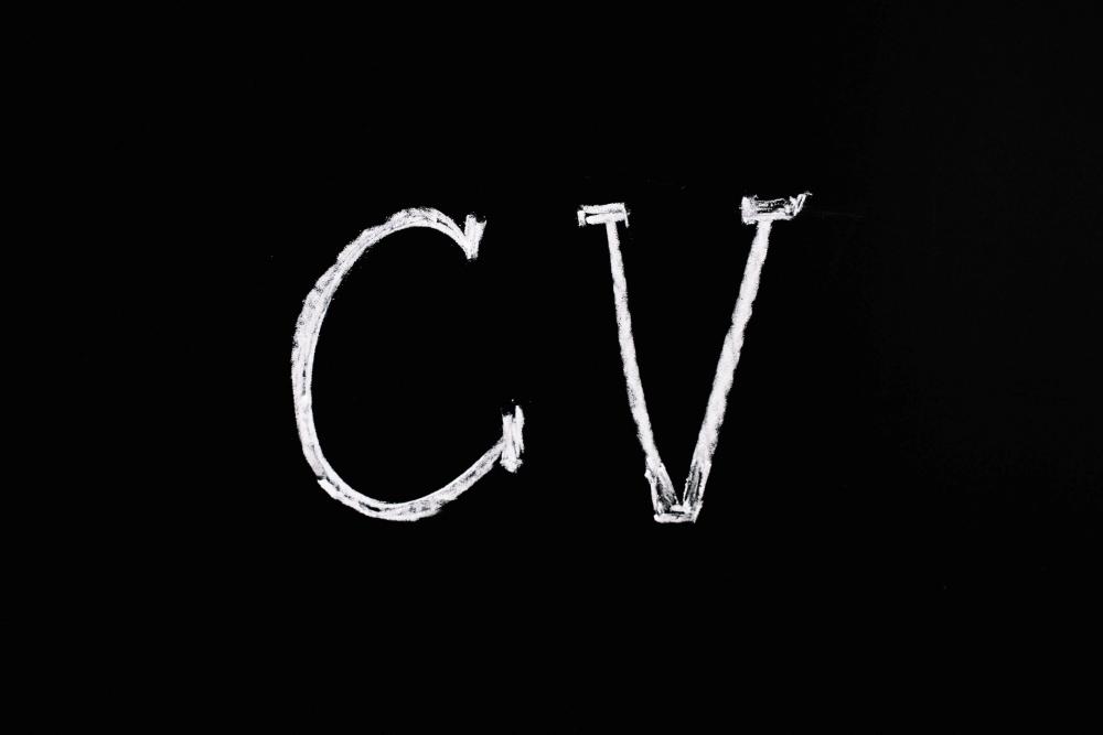 CV Ne Demek?