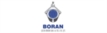 BORAN ÇELİK DÖKÜM A.Ş.