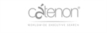 Cátenon Worldwide Executive Search