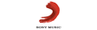 Sony Music Entertainment Türkiye Ticaret A.Ş.