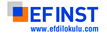 EFINST Dil Okulu
