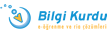 Bilgi Kurdu