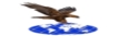 DOĞAN TEL ÖRGÜ LTD. ŞTİ.