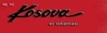 KOSOVA RESTAURANT HİZMET İŞLETMELERİ LTD.ŞTİ.