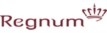 Regnum İnşaat