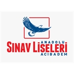  ACIBADEM SINAV ANADOLU LİSESİ