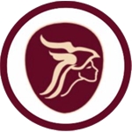Minerva Elektronik