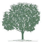KESTANE CAPITAL PARTNERS LLC