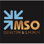MSO DENETİM VE S.M.M.M. A.Ş.