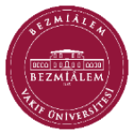Bezm-İ Âlem Vakıf Üniversitesi Logosu
